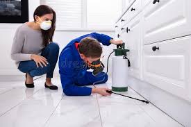 Real Estate Pest Inspections in Reminderville, OH